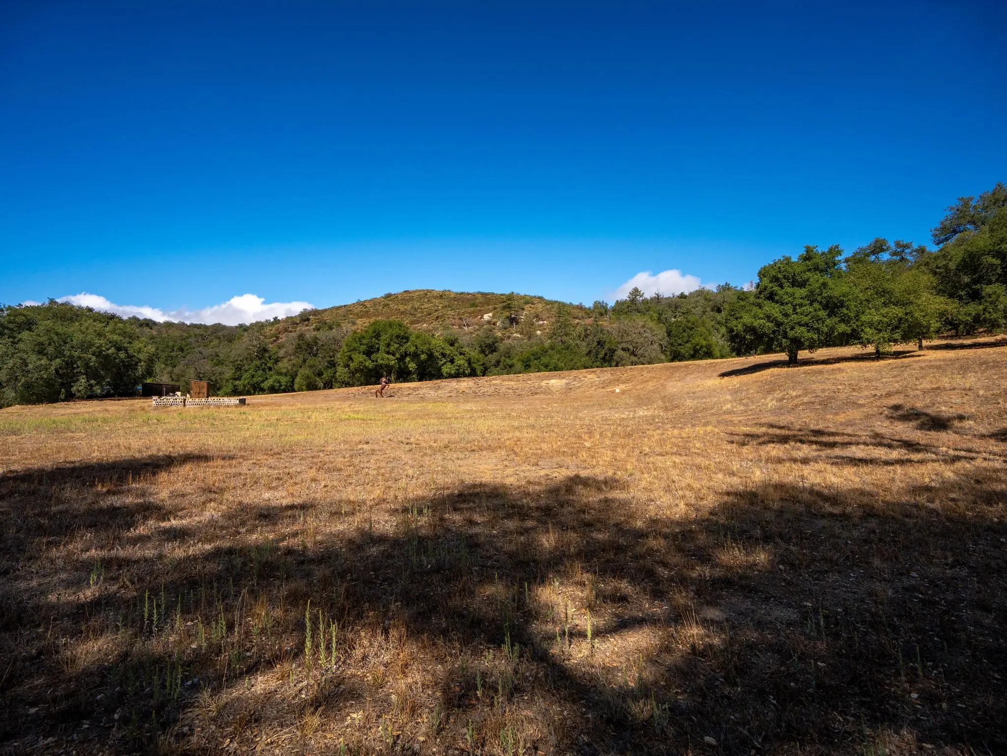 Meadow Ranch