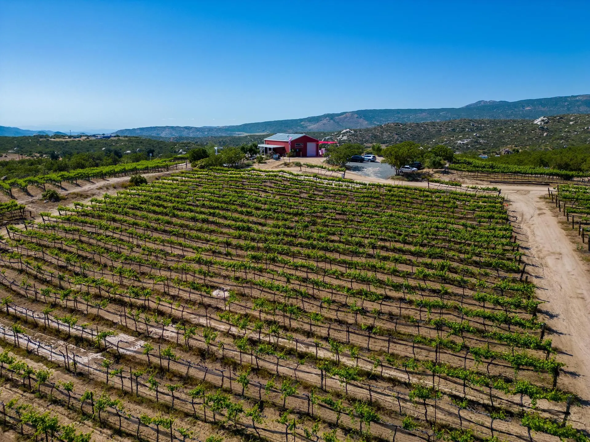 Hawk Watch Vineyard & Residence