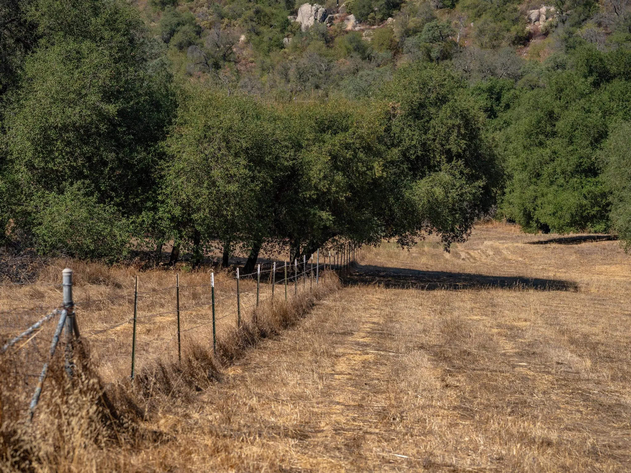 Meadow Ranch