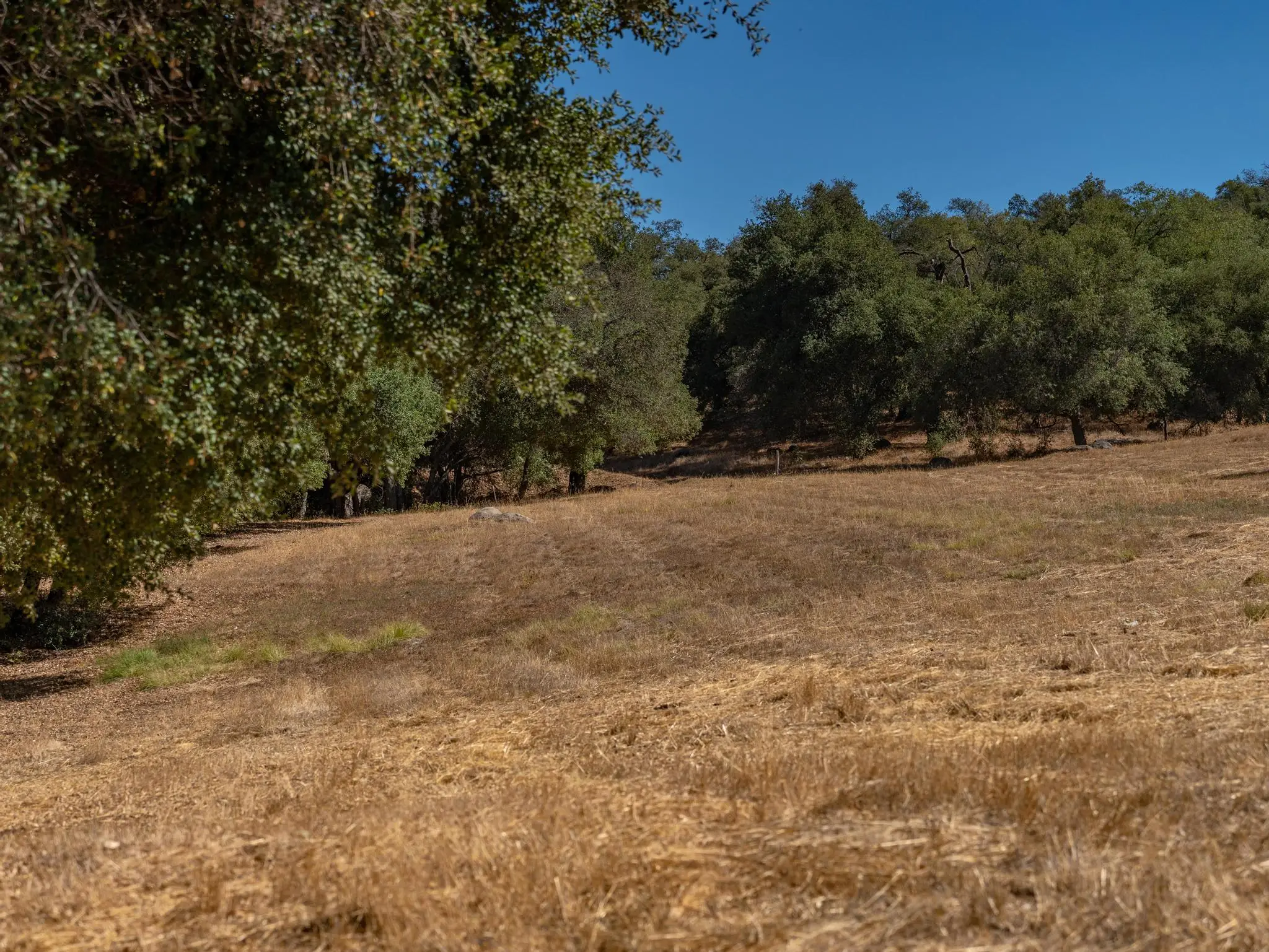 Meadow Ranch