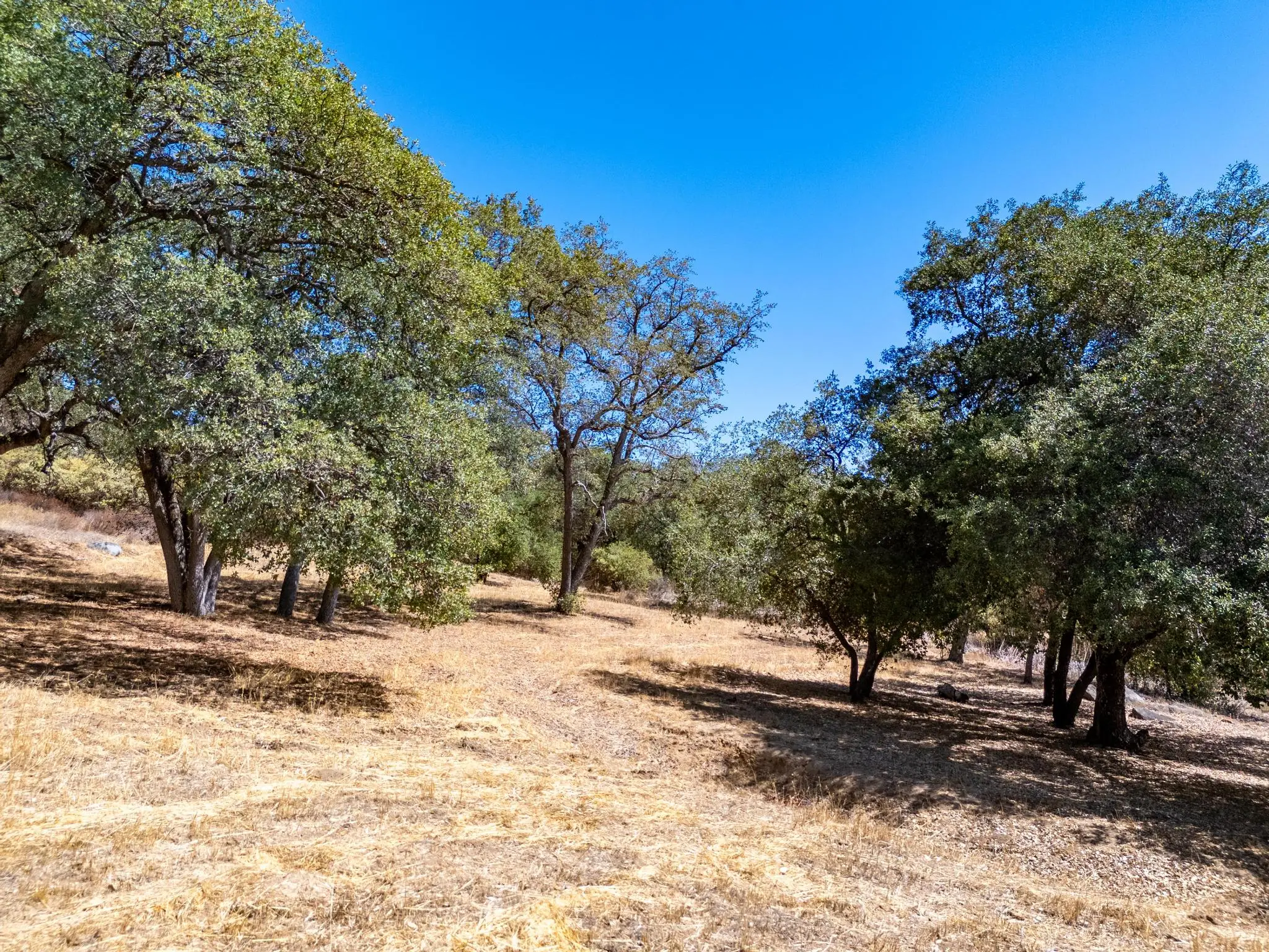 Meadow Ranch