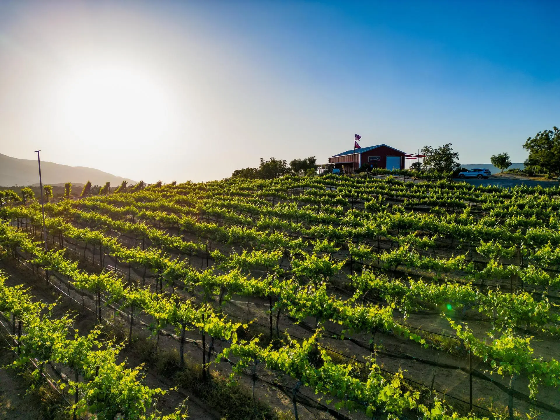 Hawk Watch Vineyard & Residence