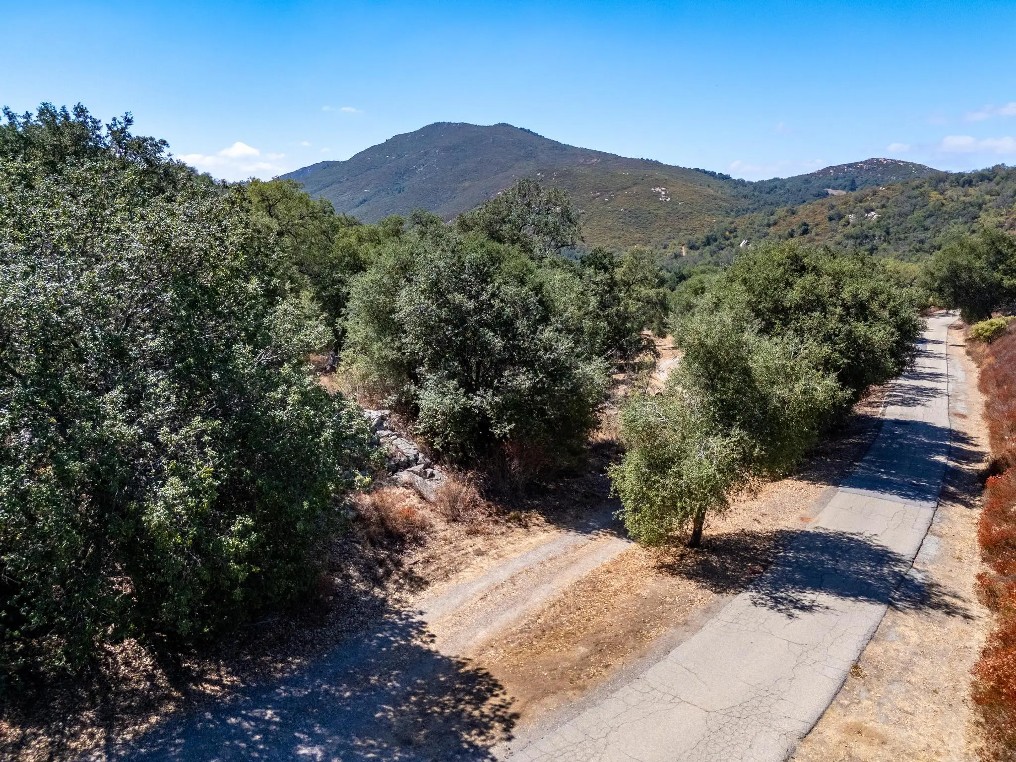 Meadow Ranch