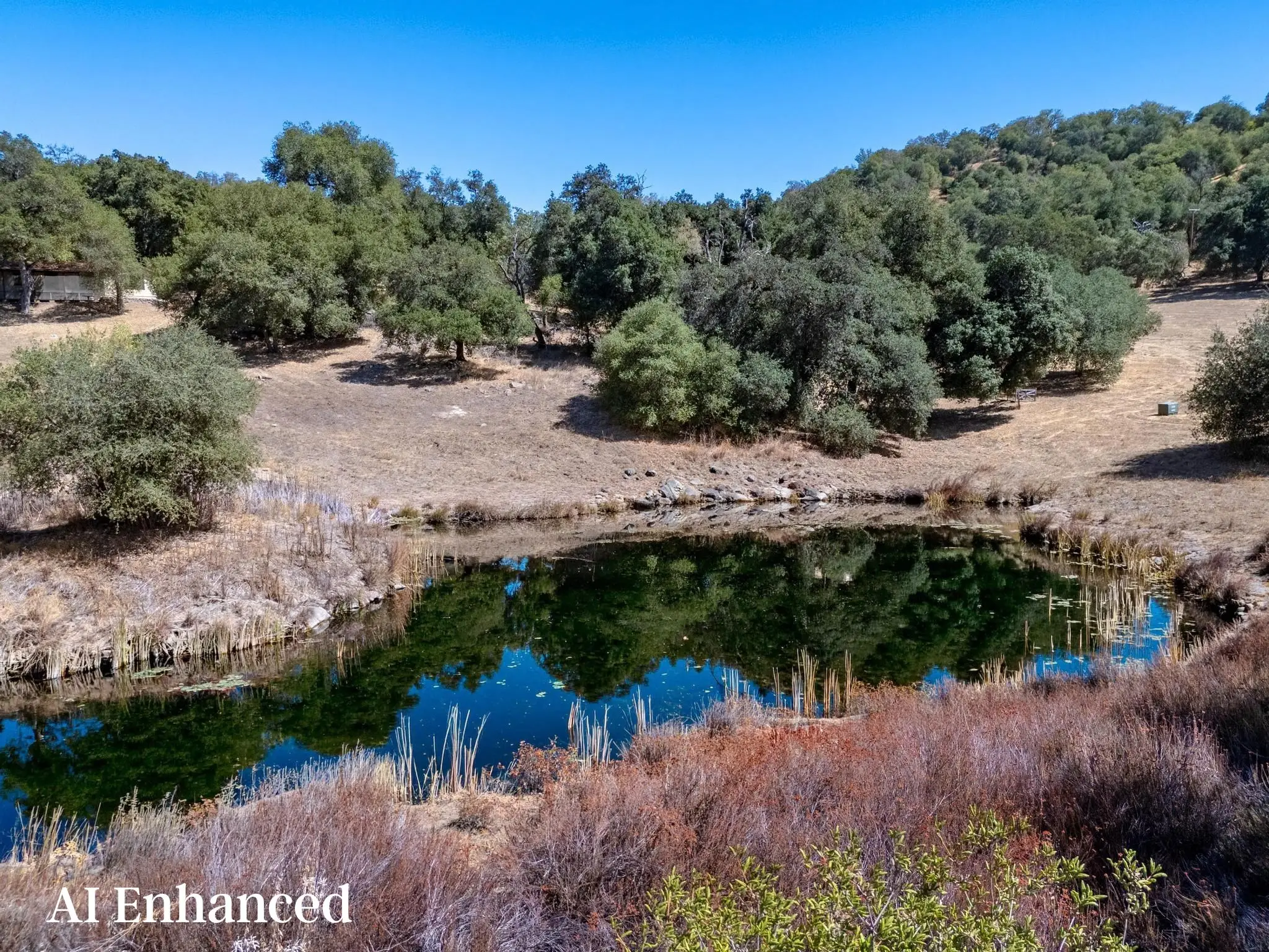 Meadow Ranch