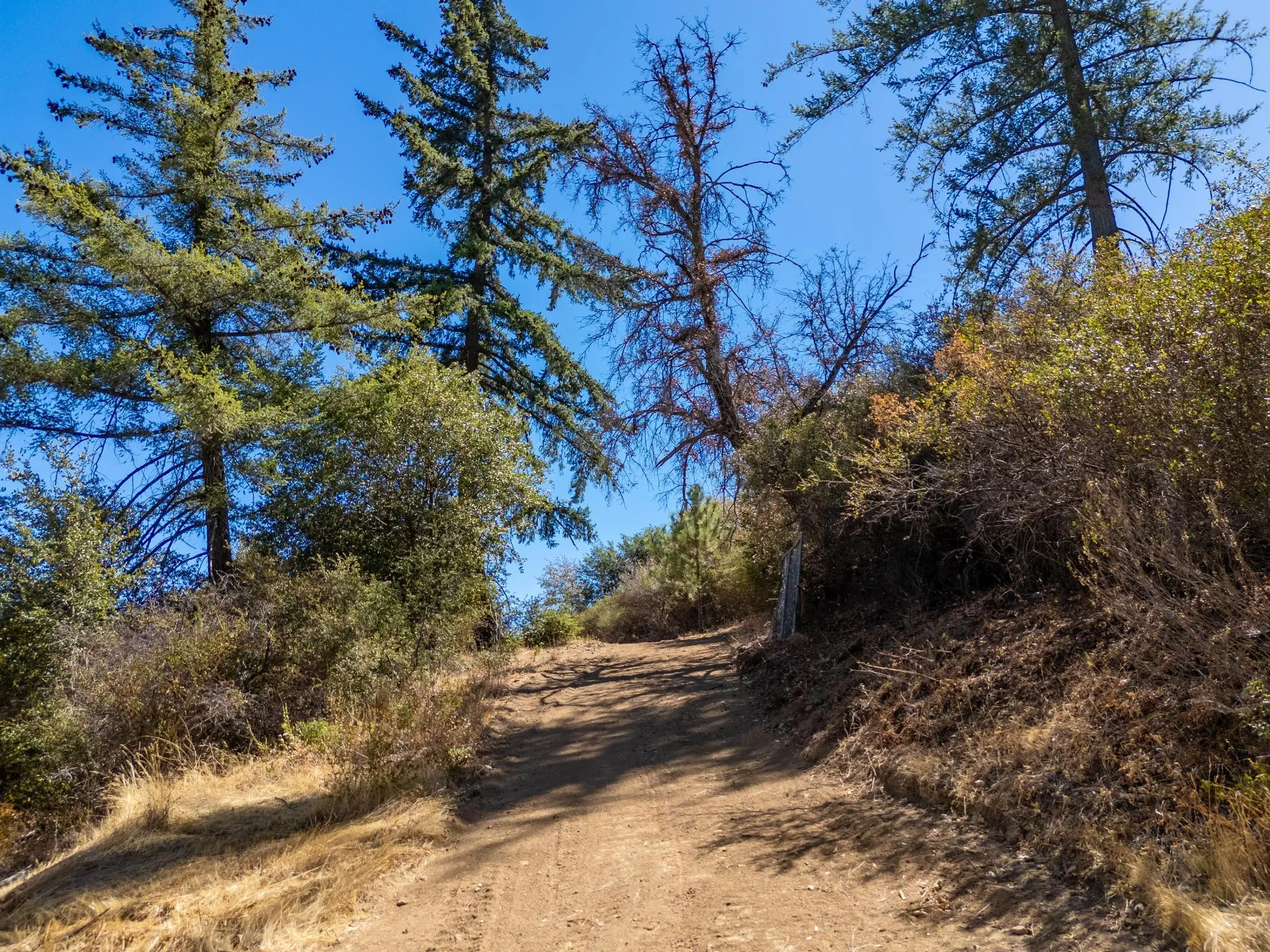 Sky Ridge Peak