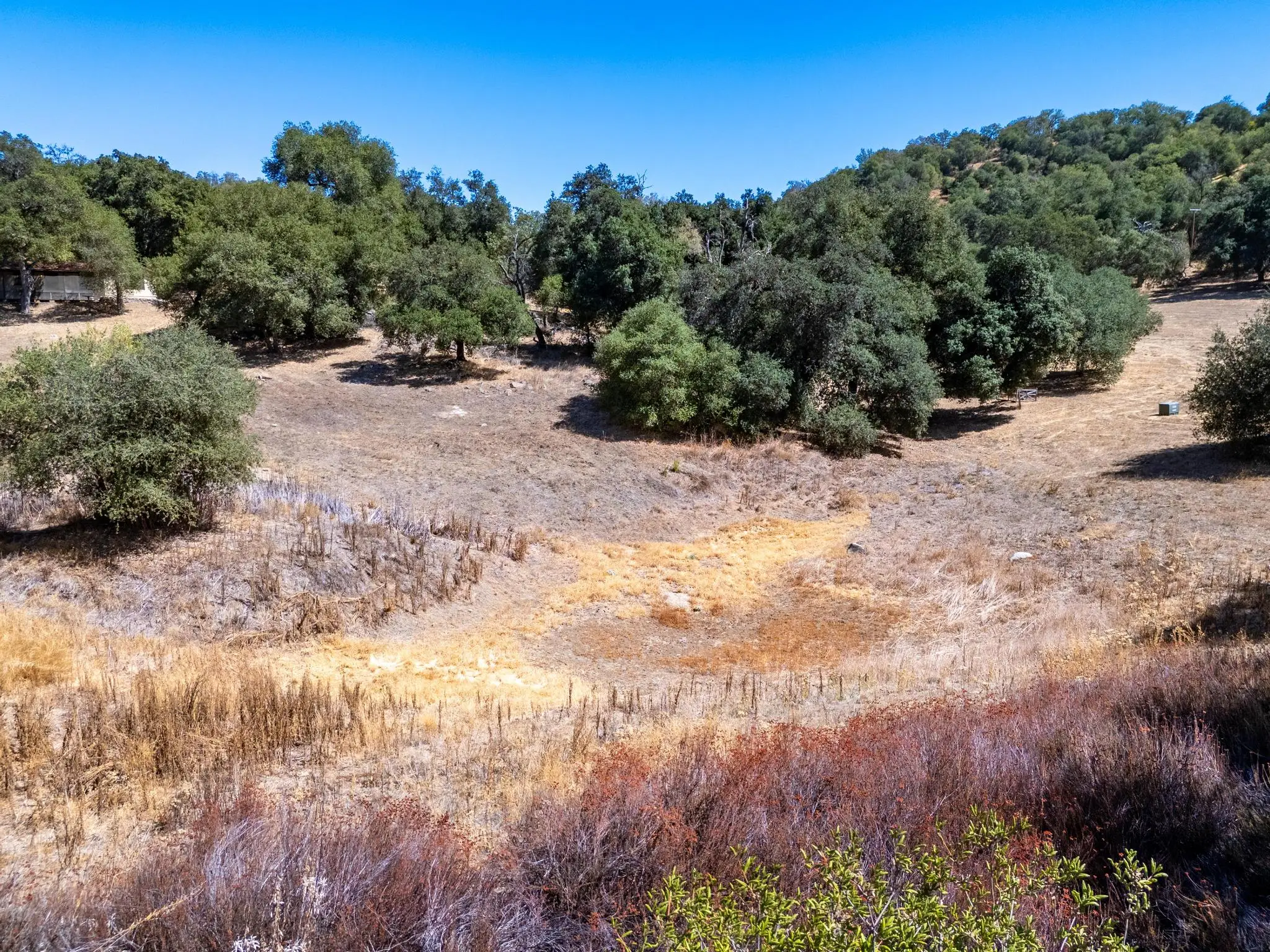 Meadow Ranch