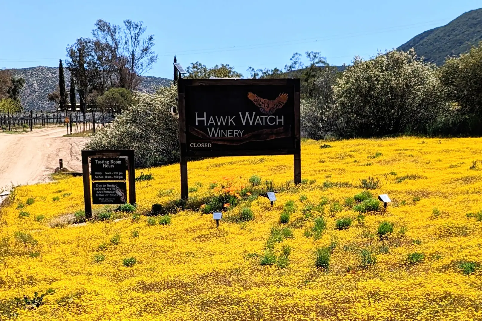 Hawk Watch Vineyard & Residence