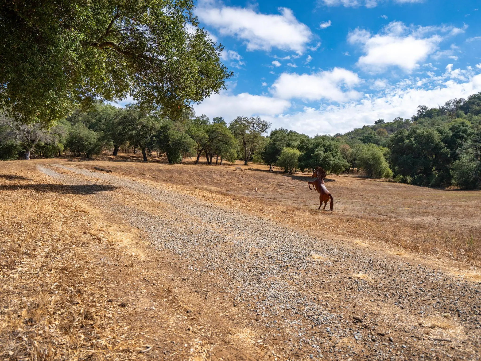 Meadow Ranch