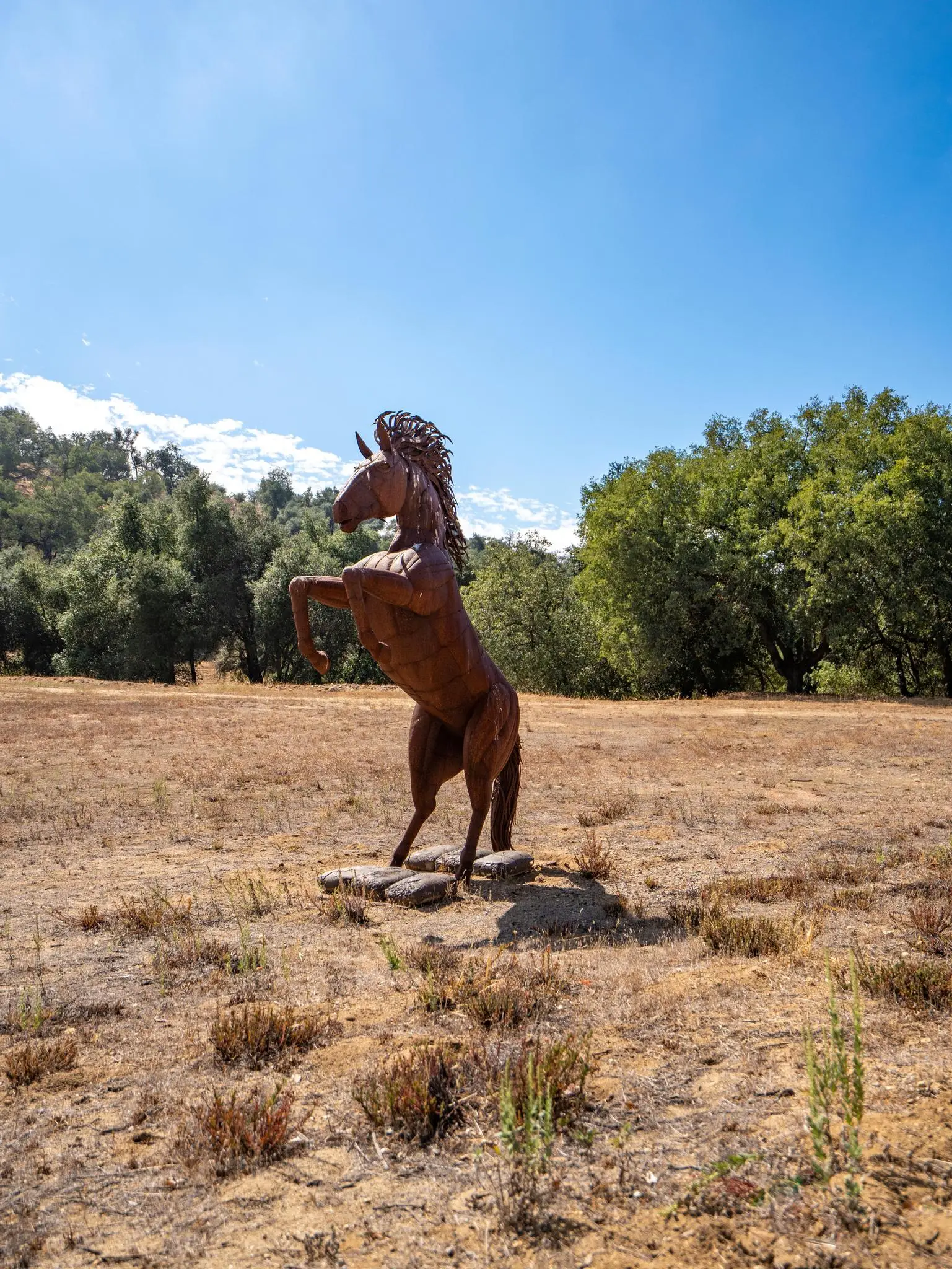 Meadow Ranch