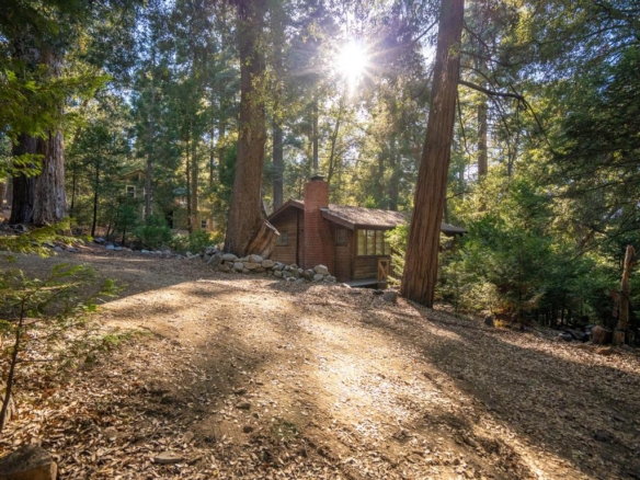 Honeysuckle Cabin