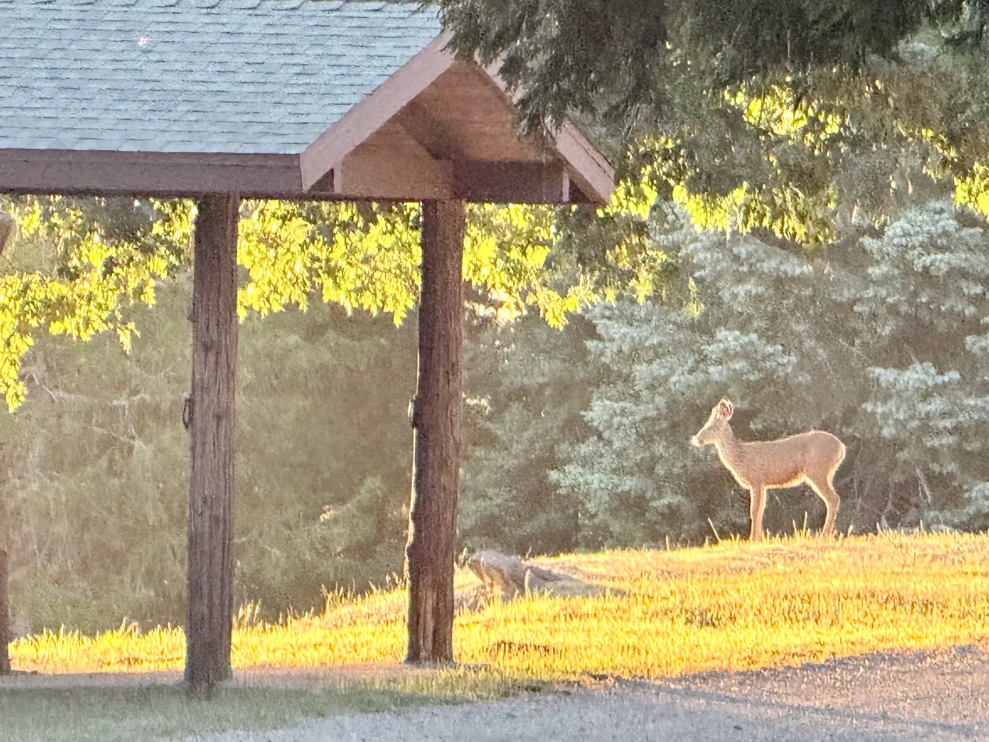Round House Ranch
